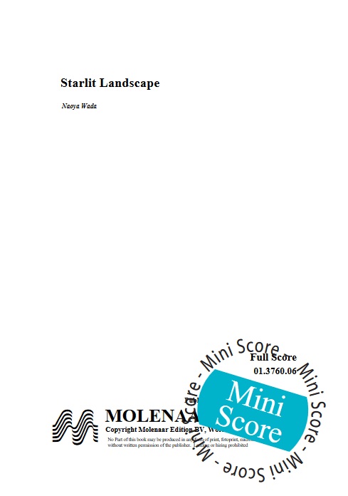 Starlit Landscape - hier klicken