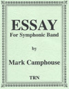 Essay - hier klicken