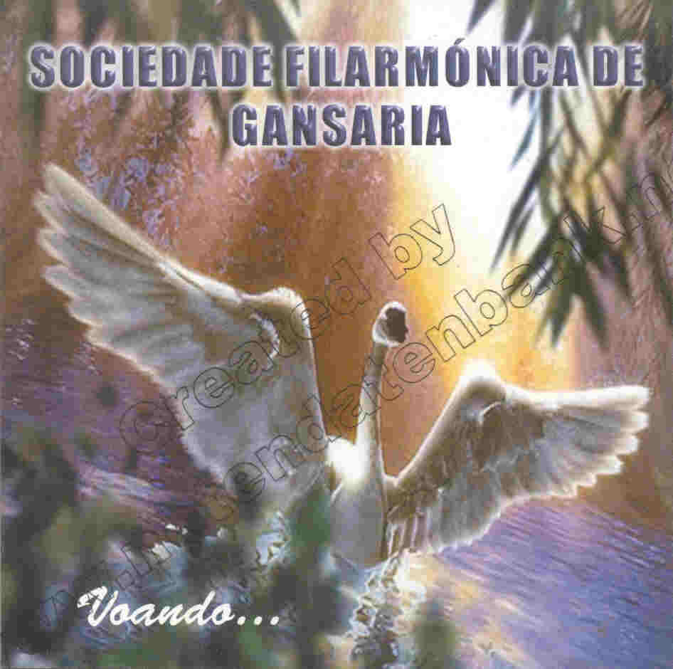 Voando - hier klicken